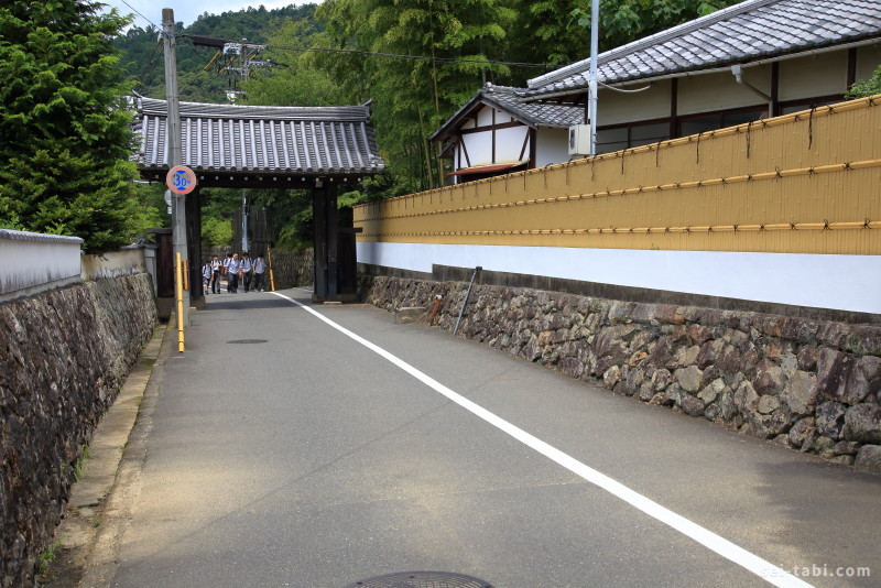 【京都一人旅 #6】新緑の「哲学の道」を一人歩いて哲学に浸る